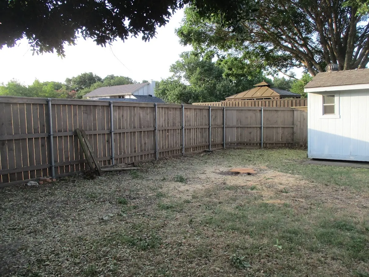 Cleared yard after professional tree removal in Skellytown